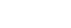 payment partner 1 Logo